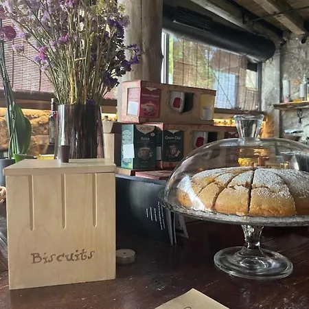 Dim's & Restaurant 4*