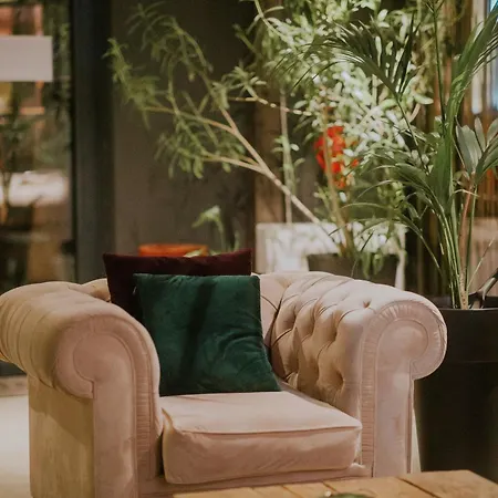 Dim's & Restaurant فندق كورتشي