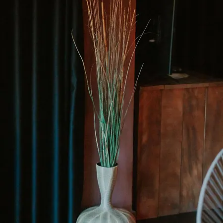 Dim's & Restaurant Görice