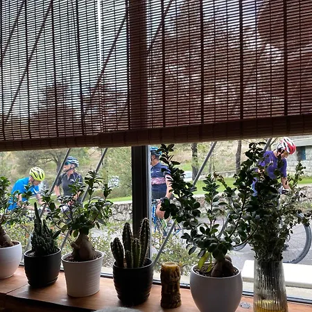 فندق Dim's & Restaurant كورتشي