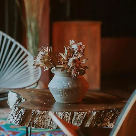 Dim's & Restaurant 호텔 4*