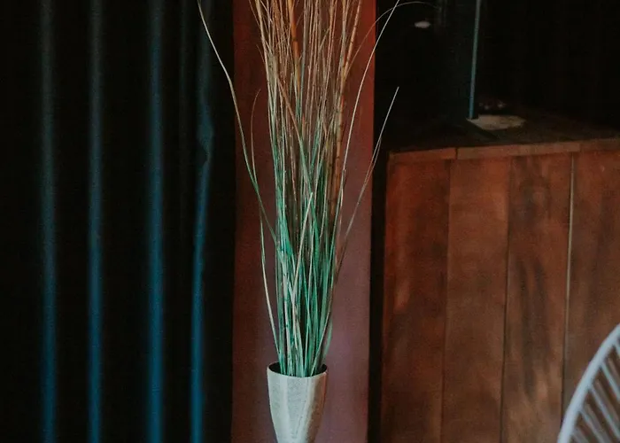 Dim's & Restaurant 科尔察