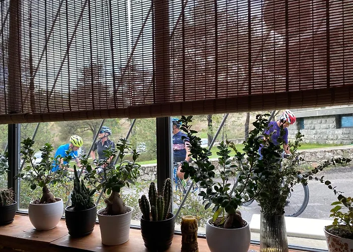 酒店 Dim's & Restaurant 科尔察