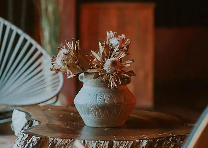 Dim's & Restaurant 酒店 4*